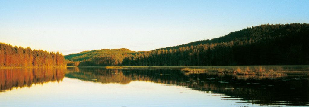 Mitten auf dem See