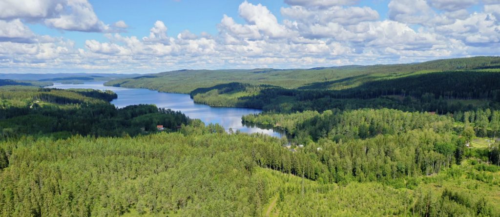 Blick auf den See